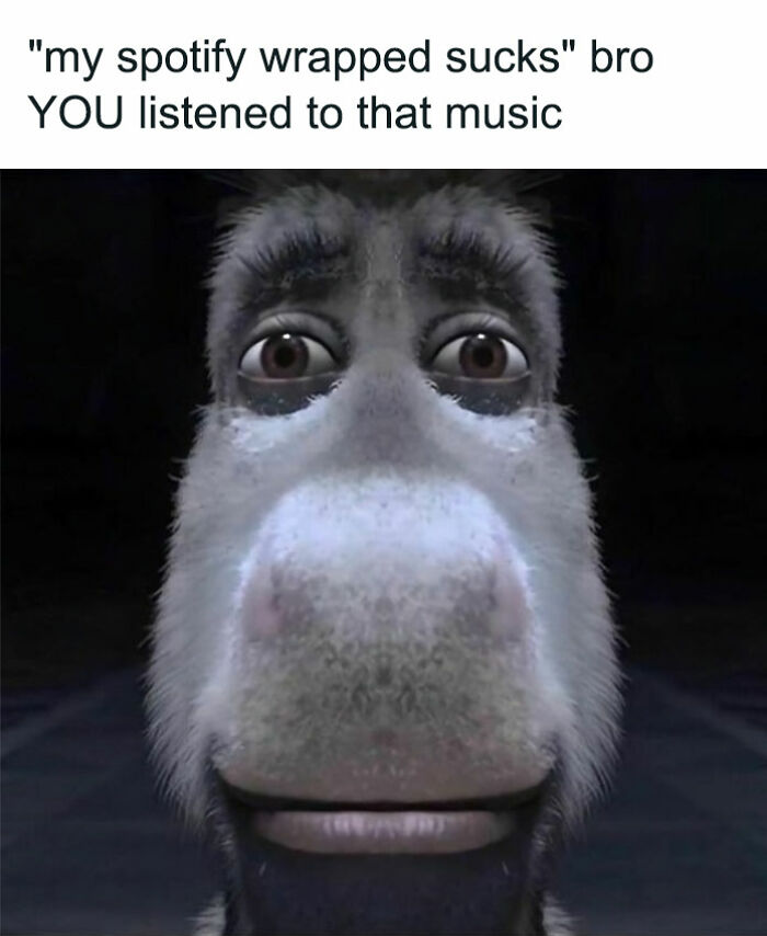 45 Ridiculously Funny Memes To Scroll Through When You’re Having One Of Those Days 45 Ridiculously Funny Memes To Scroll Through When You’re Having One Of Those Days