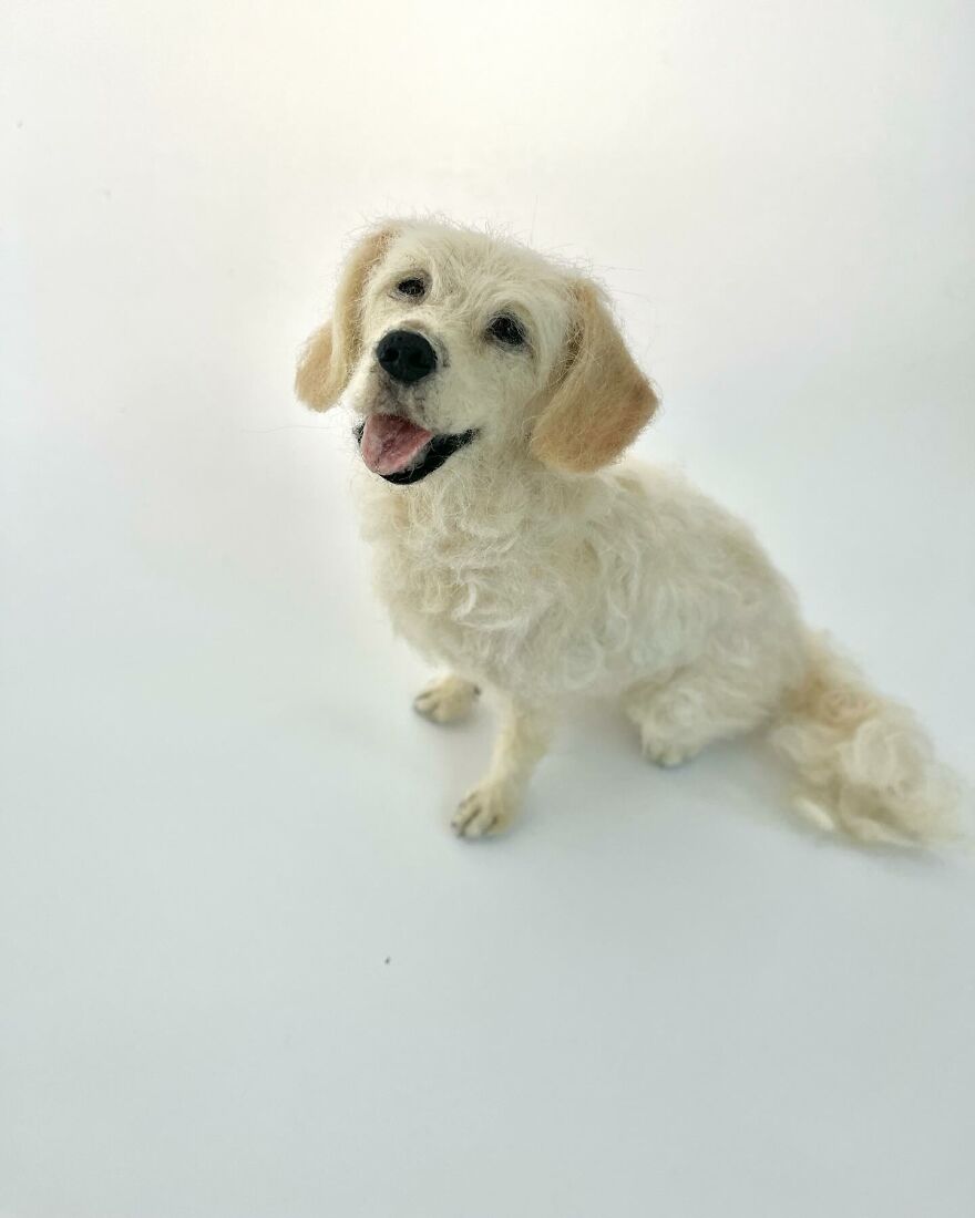 This Artist Makes Extremely Realistic Wool Figures Of Animals, And Here Are 30 Of The Best This Artist Makes Extremely Realistic Wool Figures Of Animals, And Here Are 30 Of The Best