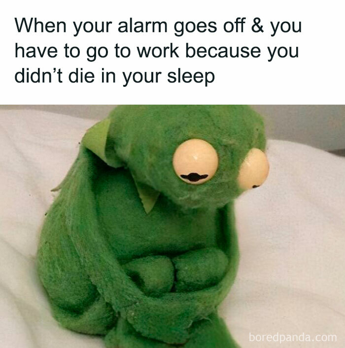 50 Memes That Turn Nothingness And Despair Into Something To Laugh About 50 Memes That Turn Nothingness And Despair Into Something To Laugh About