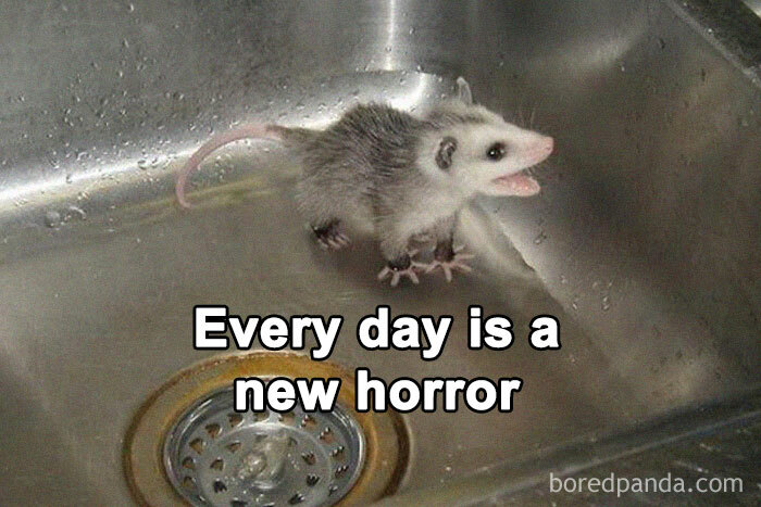 50 Memes That Turn Nothingness And Despair Into Something To Laugh About 50 Memes That Turn Nothingness And Despair Into Something To Laugh About