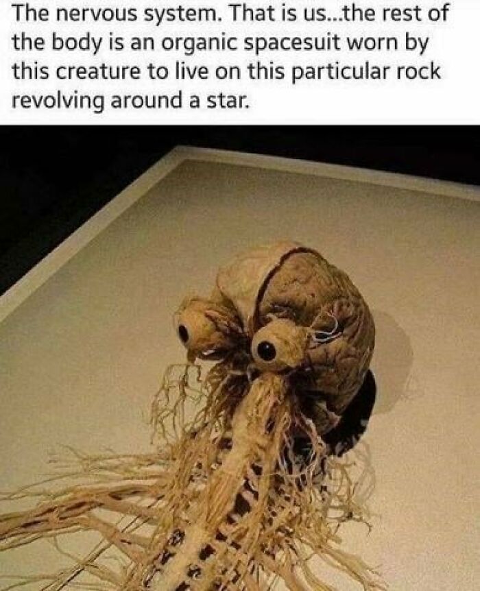 50 Memes That Turn Nothingness And Despair Into Something To Laugh About 50 Memes That Turn Nothingness And Despair Into Something To Laugh About