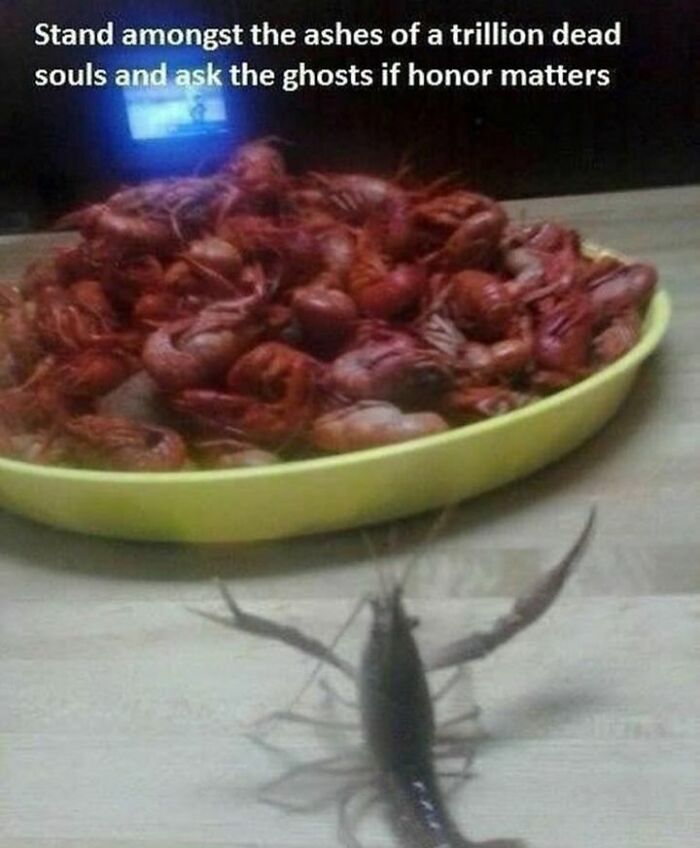 50 Memes That Turn Nothingness And Despair Into Something To Laugh About 50 Memes That Turn Nothingness And Despair Into Something To Laugh About