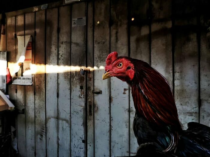 Here Are 40 Of The Most Interesting Images Selected By This Instagram Page (New Pics) Here Are 40 Of The Most Interesting Images Selected By This Instagram Page (New Pics)