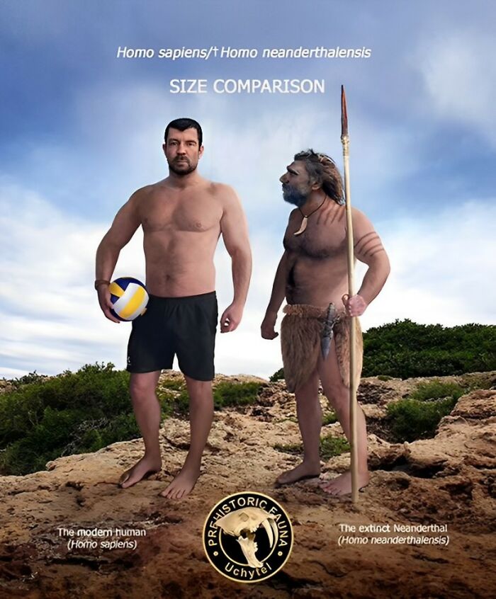 This Artist Compares The Sizes Of Extinct Species With Their Modern Relatives By Placing Them Side By Side (20 New Pics) This Artist Compares The Sizes Of Extinct Species With Their Modern Relatives By Placing Them Side By Side (20 New Pics)