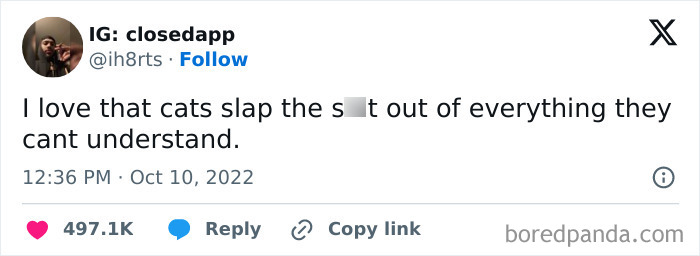 50 Hilarious Cat Memes That Capture Feline Attitude Perfectly, Courtesy Of This FB Page (New Pics) 50 Hilarious Cat Memes That Capture Feline Attitude Perfectly, Courtesy Of This FB Page (New Pics)