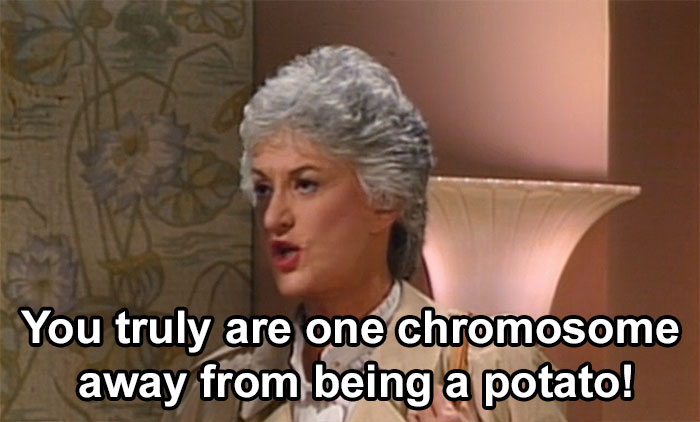 30 Hilariously Brilliant Reaction Memes That People Deserve For Making Dumb Decisions 30 Hilariously Brilliant Reaction Memes That People Deserve For Making Dumb Decisions