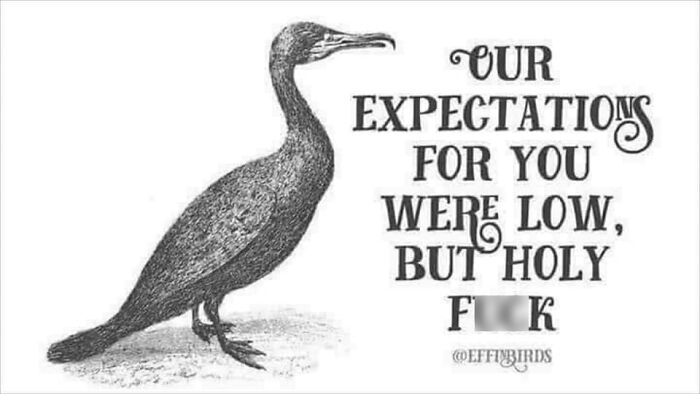 30 Hilariously Brilliant Reaction Memes That People Deserve For Making Dumb Decisions 30 Hilariously Brilliant Reaction Memes That People Deserve For Making Dumb Decisions