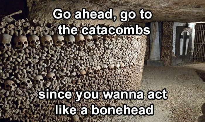 30 Hilariously Brilliant Reaction Memes That People Deserve For Making Dumb Decisions 30 Hilariously Brilliant Reaction Memes That People Deserve For Making Dumb Decisions