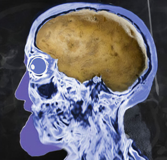 30 Hilariously Brilliant Reaction Memes That People Deserve For Making Dumb Decisions 30 Hilariously Brilliant Reaction Memes That People Deserve For Making Dumb Decisions