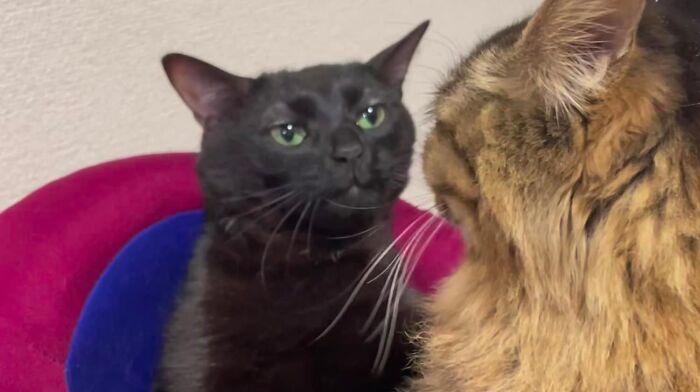 30 Hilariously Brilliant Reaction Memes That People Deserve For Making Dumb Decisions 30 Hilariously Brilliant Reaction Memes That People Deserve For Making Dumb Decisions