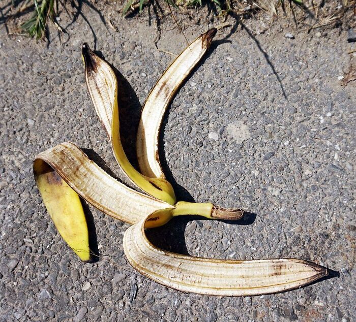 “I Slipped On A Banana Skin”: 30 Moments People Never Thought They’d Experience “I Slipped On A Banana Skin”: 30 Moments People Never Thought They’d Experience
