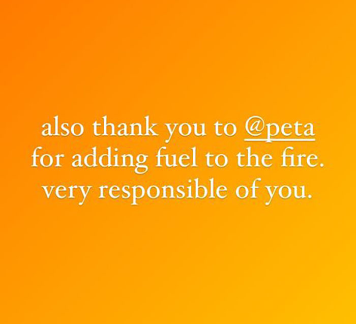 Lily Allen Refuses To Back Down After Receiving Backlash For &ldquo;Dumping&rdquo; Dog That Ate Her Passport