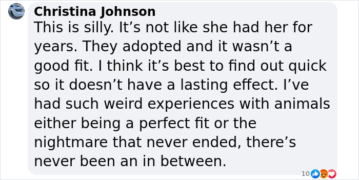 Lily Allen Refuses To Back Down After Receiving Backlash For &ldquo;Dumping&rdquo; Dog That Ate Her Passport