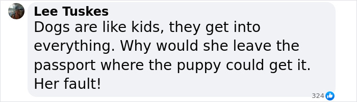 Lily Allen Refuses To Back Down After Receiving Backlash For &ldquo;Dumping&rdquo; Dog That Ate Her Passport