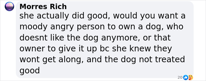 Lily Allen Refuses To Back Down After Receiving Backlash For &ldquo;Dumping&rdquo; Dog That Ate Her Passport