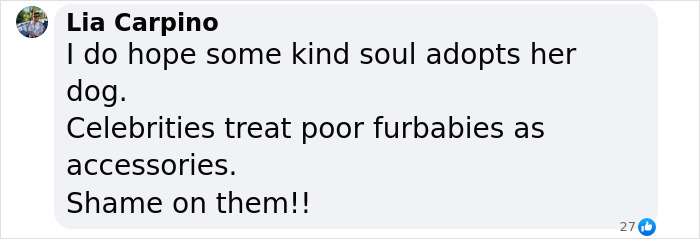 Lily Allen Refuses To Back Down After Receiving Backlash For &ldquo;Dumping&rdquo; Dog That Ate Her Passport