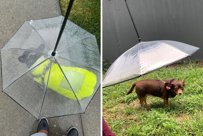 20 Products To Make You Wonder Why You Ever Did Things The Boring Way 20 Products To Make You Wonder Why You Ever Did Things The Boring Way