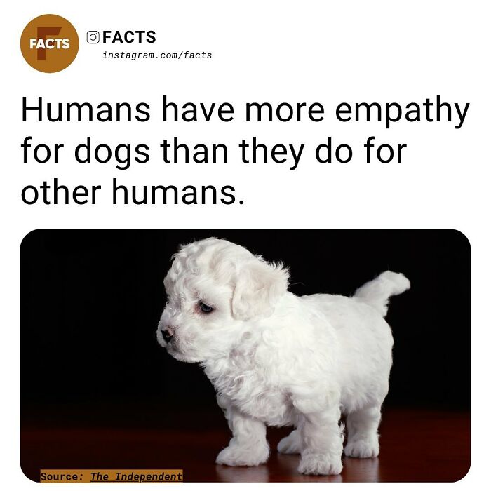 “Enlighten Yourself”: 50 Random Facts That Are Too Interesting To Scroll Past (New Pics) “Enlighten Yourself”: 50 Random Facts That Are Too Interesting To Scroll Past (New Pics)