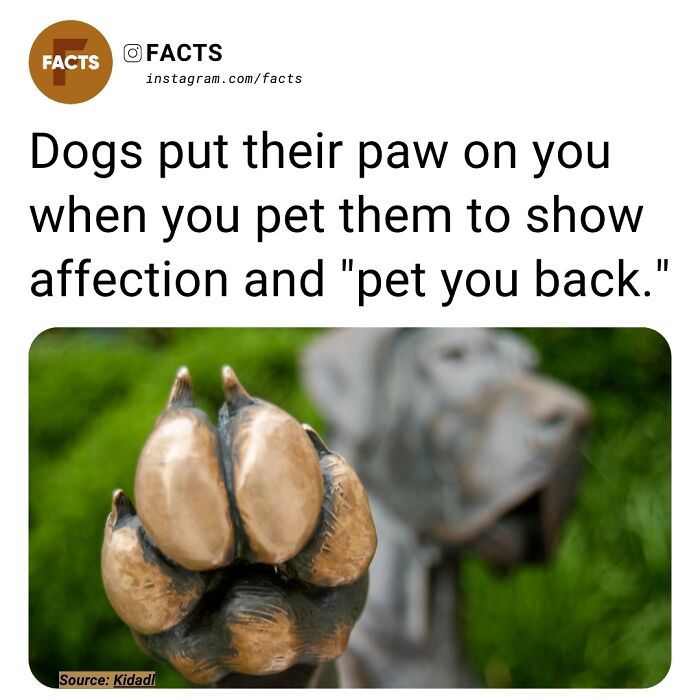 “Enlighten Yourself”: 50 Random Facts That Are Too Interesting To Scroll Past (New Pics) “Enlighten Yourself”: 50 Random Facts That Are Too Interesting To Scroll Past (New Pics)