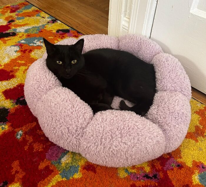 Finally Create The Moody Home Of Your Dreams With These 21 Finds Finally Create The Moody Home Of Your Dreams With These 21 Finds