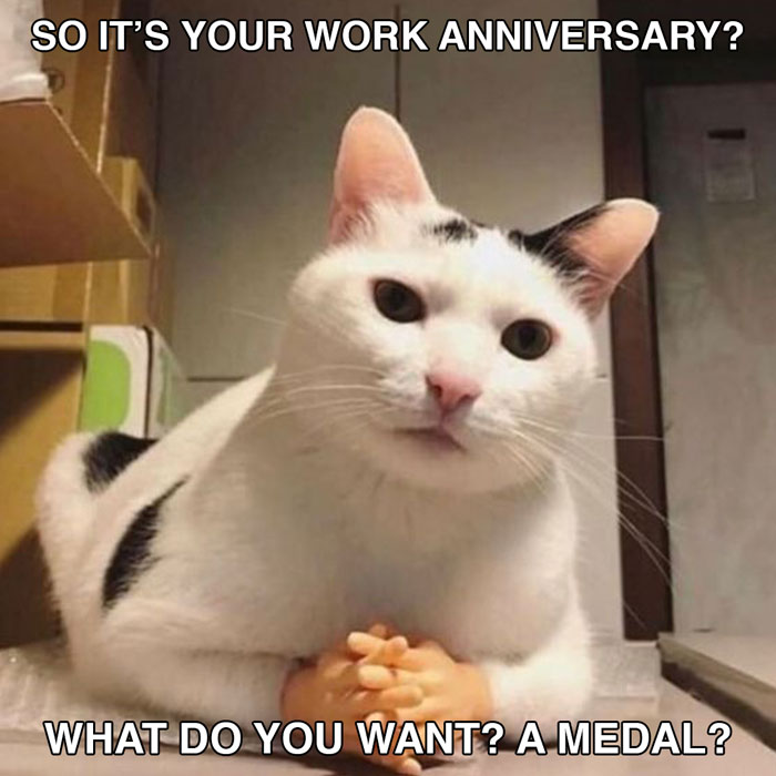 43 Hilarious Work Anniversary Memes That Hit Home 43 Hilarious Work Anniversary Memes That Hit Home