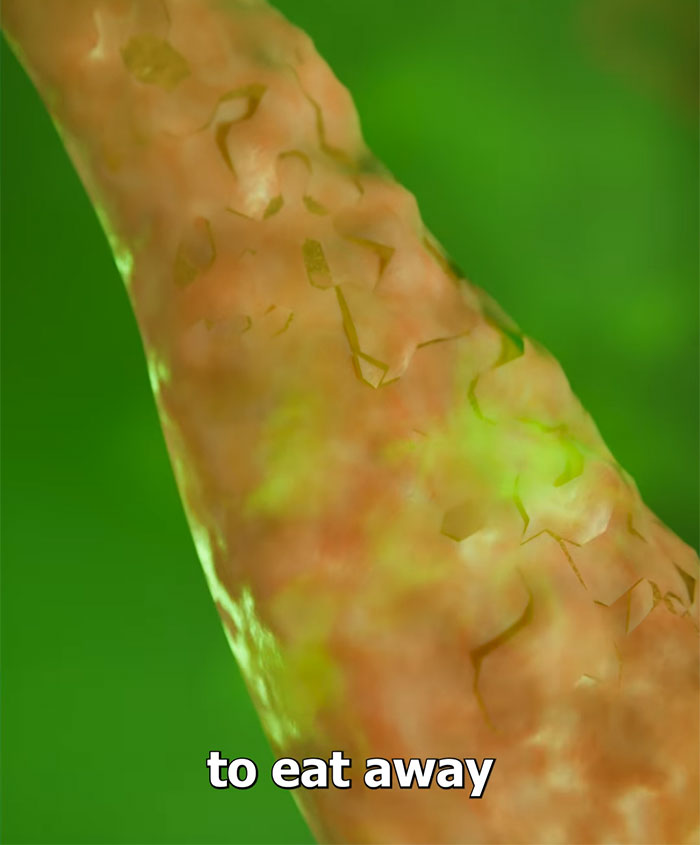 Horrifying Simulation Of Man Who Fell Into Hot Spring And Dissolved In A Day Goes Viral Horrifying Simulation Of Man Who Fell Into Hot Spring And Dissolved In A Day Goes Viral