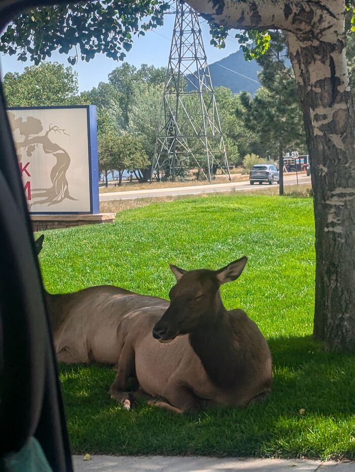 Hey Pandas, Post A Picture Of Your Country And We Will Try To Figure It Out Hey Pandas, Post A Picture Of Your Country And We Will Try To Figure It Out