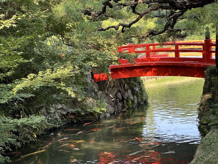 Hey Pandas, Post A Picture Of Your Country And We Will Try To Figure It Out Hey Pandas, Post A Picture Of Your Country And We Will Try To Figure It Out