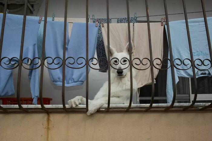 Fun Accidental Moments Captured By This Street Photographer (50 New Pics) Fun Accidental Moments Captured By This Street Photographer (50 New Pics)