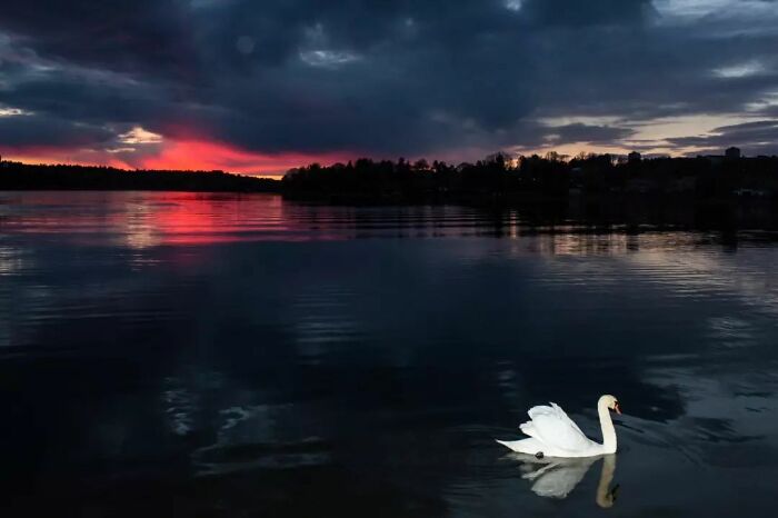 Fun Accidental Moments Captured By This Street Photographer (50 New Pics) Fun Accidental Moments Captured By This Street Photographer (50 New Pics)