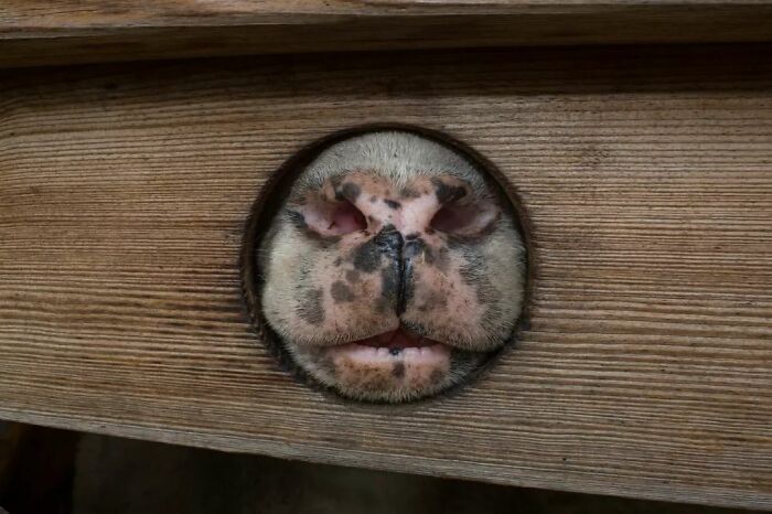 Fun Accidental Moments Captured By This Street Photographer (50 New Pics) Fun Accidental Moments Captured By This Street Photographer (50 New Pics)