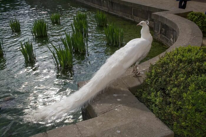 Fun Accidental Moments Captured By This Street Photographer (50 New Pics) Fun Accidental Moments Captured By This Street Photographer (50 New Pics)