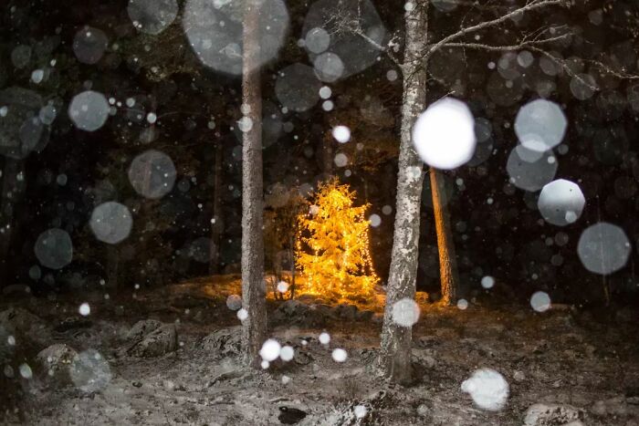 Fun Accidental Moments Captured By This Street Photographer (50 New Pics) Fun Accidental Moments Captured By This Street Photographer (50 New Pics)