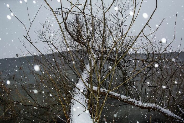 Fun Accidental Moments Captured By This Street Photographer (50 New Pics) Fun Accidental Moments Captured By This Street Photographer (50 New Pics)