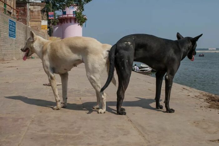 Fun Accidental Moments Captured By This Street Photographer (50 New Pics) Fun Accidental Moments Captured By This Street Photographer (50 New Pics)