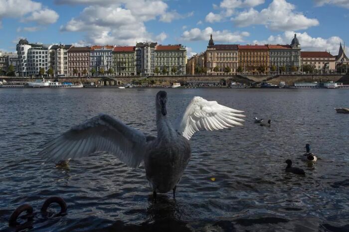 Fun Accidental Moments Captured By This Street Photographer (50 New Pics) Fun Accidental Moments Captured By This Street Photographer (50 New Pics)