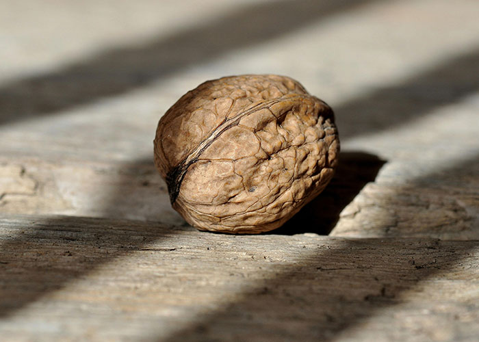 30 People Share The Best And Strangest Things They Have Inherited 30 People Share The Best And Strangest Things They Have Inherited