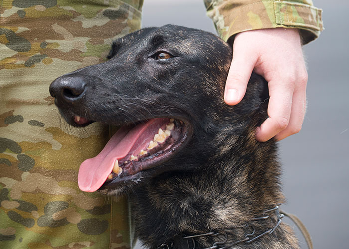 30 People Share The Best And Strangest Things They Have Inherited 30 People Share The Best And Strangest Things They Have Inherited