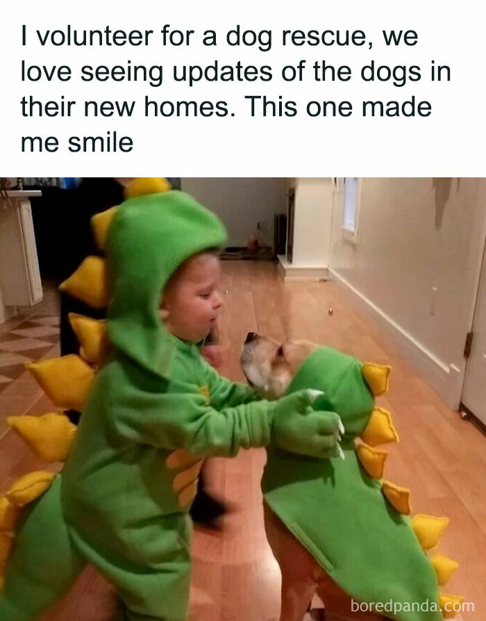 50 Wholesome Memes Shared By This Page To Brighten Up Your Day 50 Wholesome Memes Shared By This Page To Brighten Up Your Day
