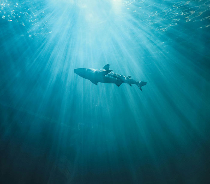 35 People Who Behaved Stupidly And Quickly Faced The Consequences Of Their Own Actions 35 People Who Behaved Stupidly And Quickly Faced The Consequences Of Their Own Actions