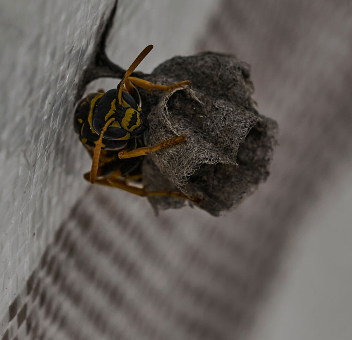 35 People Who Behaved Stupidly And Quickly Faced The Consequences Of Their Own Actions 35 People Who Behaved Stupidly And Quickly Faced The Consequences Of Their Own Actions