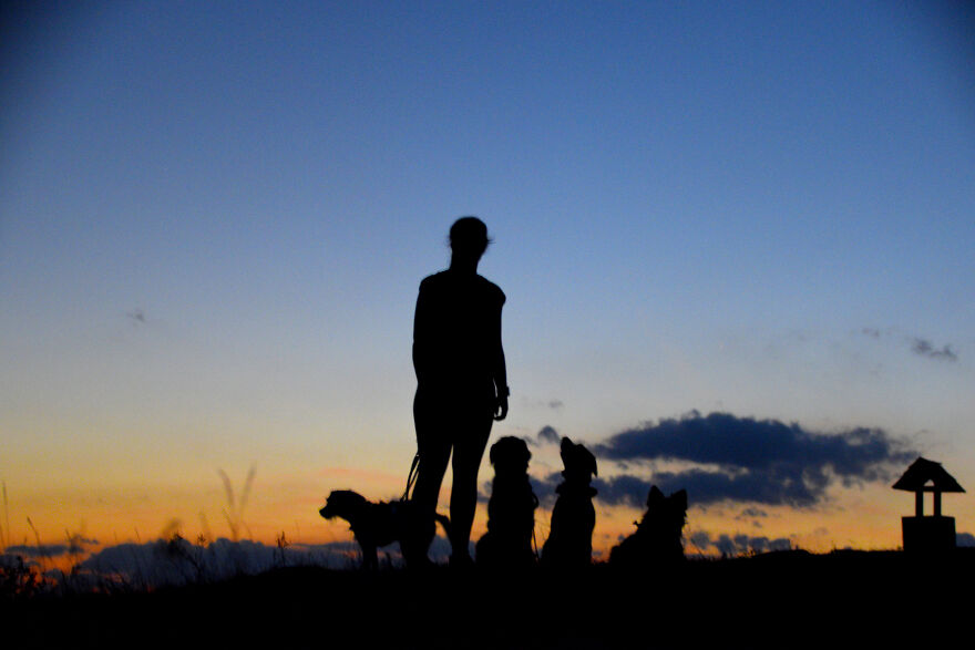 I Take Photos When I Hike (35 Pics)