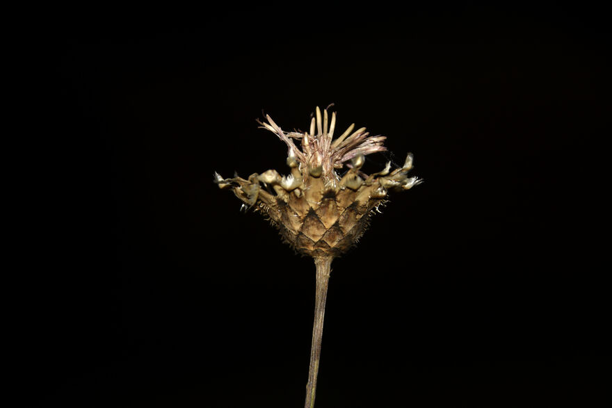 I Take Photos When I Hike (35 Pics)