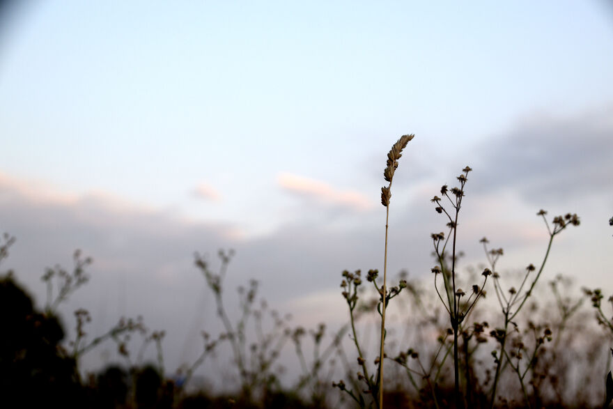 I Take Photos When I Hike (35 Pics)