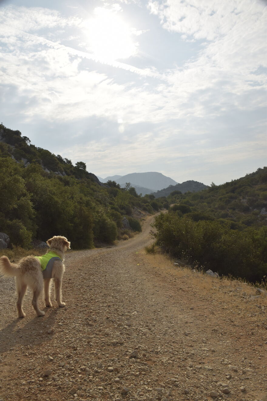 I Take Photos When I Hike (35 Pics)