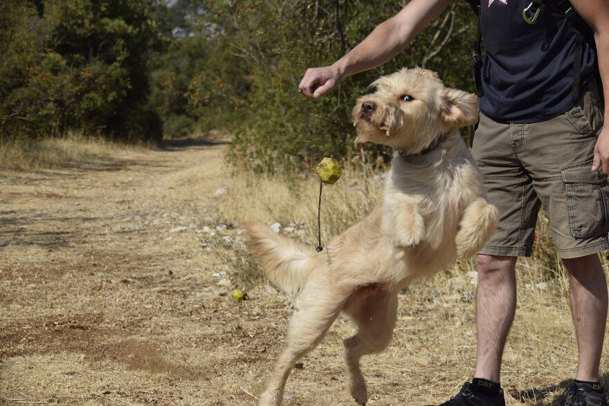 I Take Photos When I Hike (35 Pics)