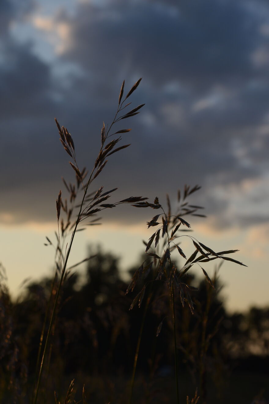 I Take Photos When I Hike (35 Pics)