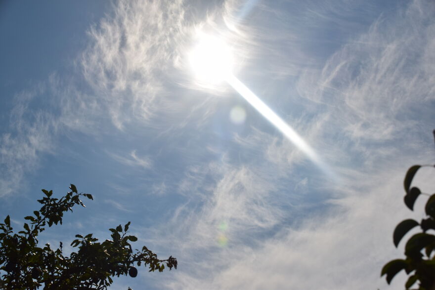 I Take Photos When I Hike (35 Pics)