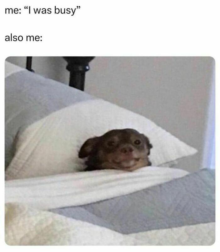 50 Hilariously Relatable Memes If You Need To Feel Seen Today 50 Hilariously Relatable Memes If You Need To Feel Seen Today