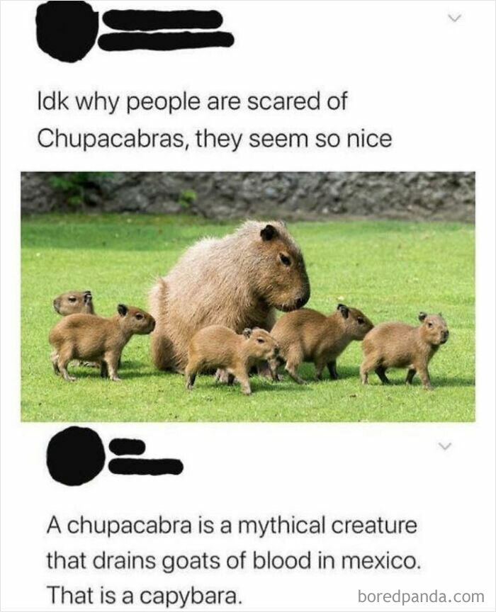 50 Funny Memes For Those Who Love A Good Giggle 50 Funny Memes For Those Who Love A Good Giggle